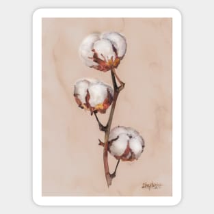 Cotton flowers Sticker